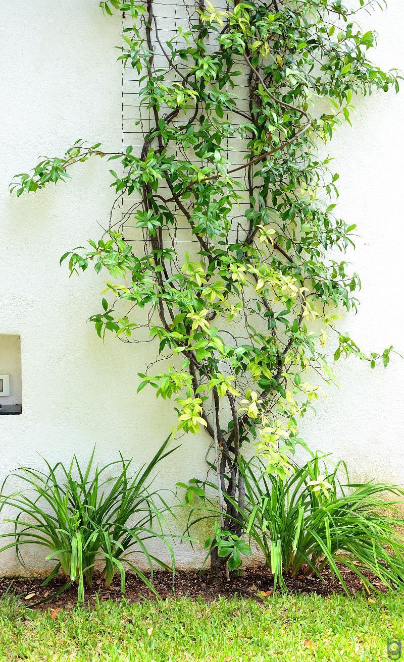 B&B Mondello Resort Zewnętrze zdjęcie