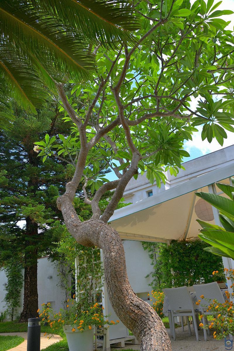 B&B Mondello Resort Zewnętrze zdjęcie